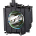 Panasonic ET-LA059 Projector Replacement Lamp