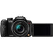 Panasonic Lumix DMC-FZ100 Digital Camera - NJ Accessory/Buy Direct & Save