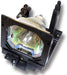 Sanyo 6103157689 Genuine Sanyo Lamp Assembly