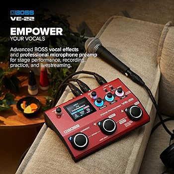 Boss Vocal Performer and Looper Pedal VE-22 - NJ Accessory/Buy Direct & Save