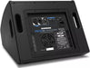 Samson RSXM12a 800W 2-Way 12" Coaxial Floor Monitor - NJ Accessory/Buy Direct & Save