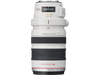 Canon 28-300mm f/3.5-5.6L EF IS USM Lens USA