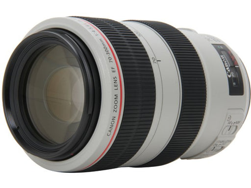 Canon EF 70-300mm f/4-5.6L is USM Zoom Lens Ultimate Bundle