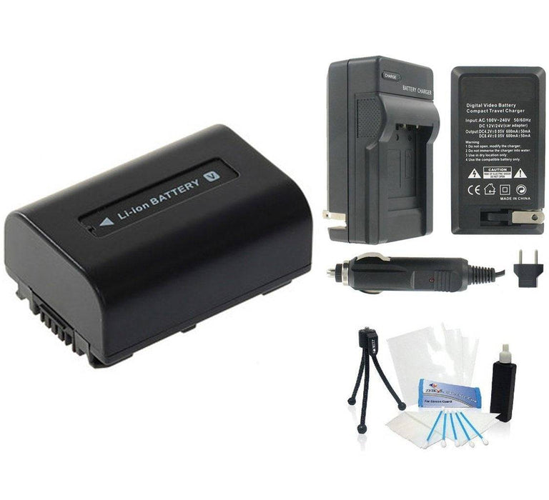 NP-FV30 High-Capacity Replacement Battery with Rapid Travel Charger