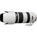 Sony 70-400mm f/4-5.6 G SSM II Lens USA