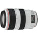 Canon EF 70-300mm f/4-5.6L is USM UD Telephoto Lens f/Canon EOS DSLR 64GB Kit