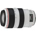 Canon EF 70-300mm f/4-5.6L is USM Zoom Lens Ultimate Bundle