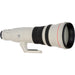 Canon EF 800mm f/5.6L IS USM Lens USA