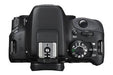 Canon EOS Rebel SL1/250D (SL3) DSLR Camera -Body Only