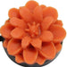 Capturing Couture Peony Cap Saver (Burnt Orange)