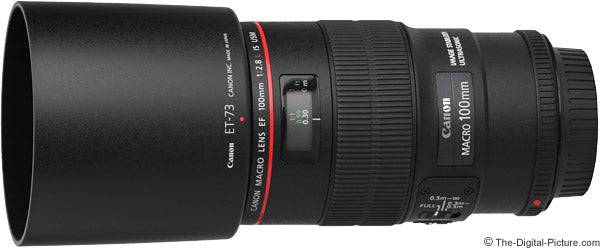 Canon 100mm f/2.8L EF Macro IS USM Lens