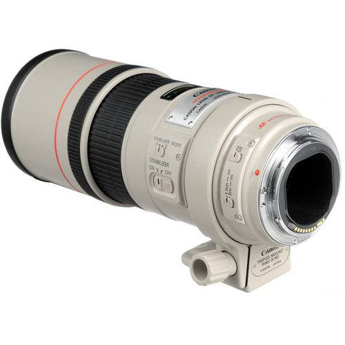 Canon EF 300mm f/4L IS USM Lens