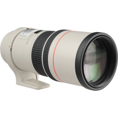 Canon EF 300mm f/4L IS USM Lens