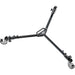 Davis &amp; Sanford ProVista Airlift Tripod with FM18 Head and Folding Dolly Kit