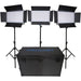 Dracast S-Series LED500 Plus Bi-Color LED 3-Light Kit with NP-F Battery Plates