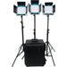 Dracast LED500 S-Series Bi-Color 3-Light Kit with NP-F Battery Plates and Hard Case