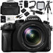 Panasonic Lumix DMC-FZ2500 Digital Camera Bundle 12PC Kit - Includes 64GB SD Memory Card, 2 Replacement Batteries, Carrying Case, 57&quot; Tripod, MORE