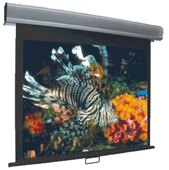 Vutec Econo Pro Manual Wall Front Projection Screen 100-Inch 4:3 Format