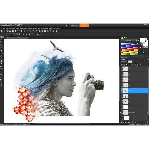 Corel PaintShop Pro 2018 (DVD with Download Card)