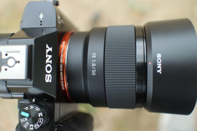 Sony FE 50mm f/1.8 Lens