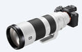 Sony FE 200-600mm f/5.6-6.3 G OSS Lens