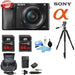 Sony Alpha a6000 Mirrorless Digital Camera with 16-50mm Lens 128GB Bundle