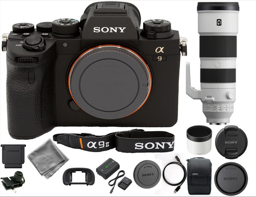 Sony Alpha a9 II Mirrorless Digital Camera with FE 200-600mm f/5.6-6.3 G OSS Lens