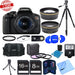 Canon EOS Rebel T6i/800D DSLR Camera with 18-55mm Kit Deluxe Bundle