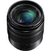 Panasonic Lumix G Vario 12-60mm f/3.5-5.6 ASPH. POWER O.I.S. Lens